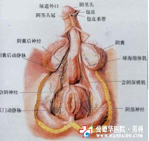 男性出現逆行射精該怎么辦