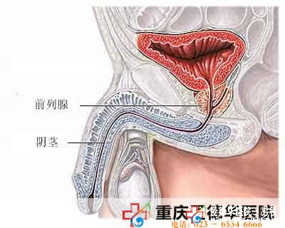 慢性前列腺炎和不良生活習慣有關嗎？-九江男科醫院