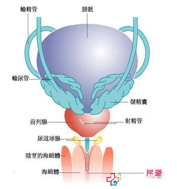 尿道炎有哪些癥狀？