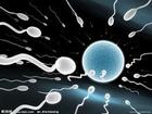 抗精子抗體陽性的治療方法是什么？