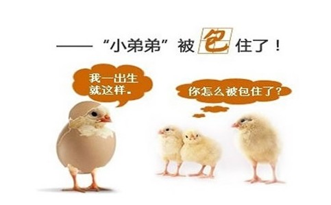 包皮過長會引發哪些陰莖顯露異常的疾病?