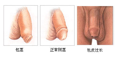 九江市哪家男科醫院比較好